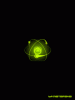 anim240x320_by_matafaka_24.gif